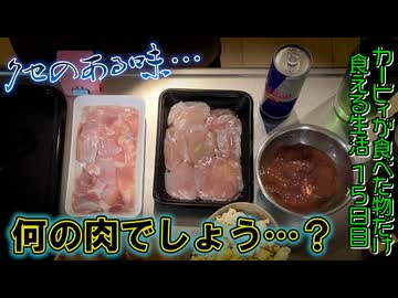 カービィが食べたものしか現実で食べられない生活 15日目(現実ご飯編)【星のカービィ ディスカバリー】