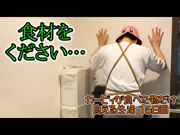 カービィが食べたものしか現実で食べられない生活 16日目(現実ご飯編)【星のカービィ ディスカバリー】