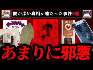 【闇が深い】真相が嘘だった事件8選【ゆっくり解説】