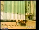 arhivă genericul pro TV 1996
