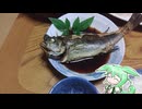 【1年待たせた】ずんだもんの夜釣りよ今夜もありがとう【完全版】