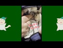 【 #フクロモモンガ 】動物病院ではオヤツ独り占め！美味しい表情！【 #おはモモンガ 】