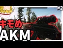 【タルコフ】キモいAKMでショアラインを駆け抜けろ！！