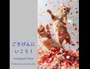 ごきげんにいこう！ - Untapped Talent Produced by Junichiro Aoki