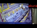 ホモと現場猫と見る　労働災害まとめ4321　衝撃映像　事故の瞬間　