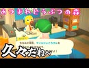 【あつまれどうぶつの森】なんか唐突にこのゲームがしたくなりました！【声実況】