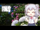 【シンプル車載動画投稿祭】小春六花「紫陽花、見に行かない？」