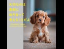 大切なのは真剣に向き合って考えることだよ - Untapped Talent Produced by Junichiro Aoki