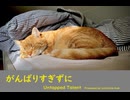 がんばりすぎずに - Untapped Talent Produced by Junichiro Aoki