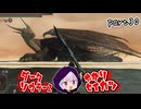 ダークソウラーⅡゆかり　part30【DARK SOULS II】