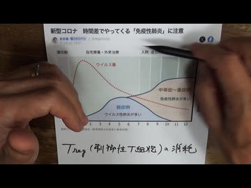 免疫性肺炎が起きる仕組み