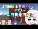 【Blender講座】才羽姉妹＆早瀬ユウカと学ぶ、せん断現象回避術【紲星あかり、ゆっくり】