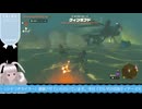 【生放送アーカイブ】雷の神殿に向かうティアキン生放送33回目【3/6】