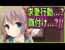 【エロゲ実況】199　あいつのせいでエロ猿だと思われるの不憫過ぎる【サノバウィッチ】