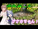【祝ニコニコ復活！】さとうささらはライギョ釣りもやる。【ルアーフィッシング】さとうささらとNo.7の【雷魚ガールささらちゃん】シリーズ＃1