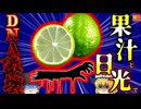 【2021年】バカンス中にカクテルを楽しんでいた女性 中に含まれる成分 日光で足に酷い熱傷 扱い方を間違えるとDNAが破壊される実は危険もある「あのフルーツ」【ゆっくり解説】