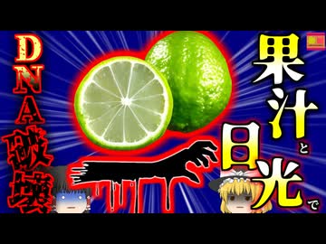 【2021年】バカンス中にカクテルを楽しんでいた女性 中に含まれる成分 日光で足に酷い熱傷 扱い方を間違えるとDNAが破壊される実は危険もある「あのフルーツ」【ゆっくり解説】