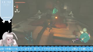 【生放送アーカイブ】ゲルドの異変解決編なティアキン生放送34回目【2/6】