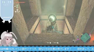 【生放送アーカイブ】ゲルドの異変解決編なティアキン生放送34回目【3/6】