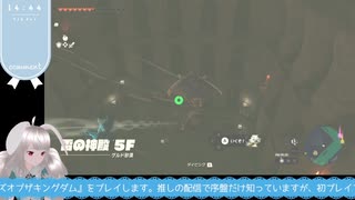 【生放送アーカイブ】ゲルドの異変解決編なティアキン生放送34回目【4/6】