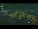 ゼルダの伝説　ティアーズ オブ ザ キングダム　実況プレイPart34