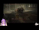 【エルデンリングDLC】カンストVSカンスト　その7
