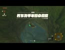 ゼルダの伝説　ティアーズ オブ ザ キングダム　実況プレイPart35