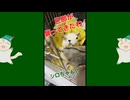 【 #フクロモモンガ 】久しぶり会えた子の匂いを嗅ぐ！【 #おはモモンガ 】