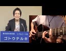 アコギでカバーしたらすごくそれっぽくなった　ラブ＆ピース