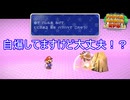 その攻撃無事で済むんですか？　ペーパーマリオRPG実況プレイPart26