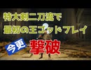 【エルデンリング】DLCが来たのに本編クリアしてない愚か者が最初の王ゴッドフレイを倒すよ！【ELDEN RING】