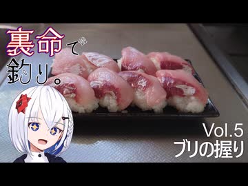裏命で釣り。Vol.5「ブリの握り」