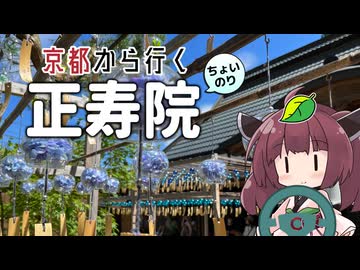 京都から行くちょい乗りドライブスポット #01「正寿院」