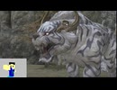 20240406 【#FF14】一般人のフリーな生活（製品版）139日目　FF16のコラボイベントを見て、紅蓮の四神とやらを見てみたい編part3【生放送TS】