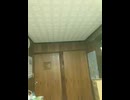 74463791793__8822B949-6202-4F52-BD5F-37FF702C05F9