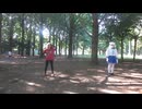 【晴れ渡る】ハレ晴れユカイ【真夏日】