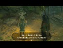 ゼルダの伝説　ティアーズ オブ ザ キングダム　実況プレイPart38