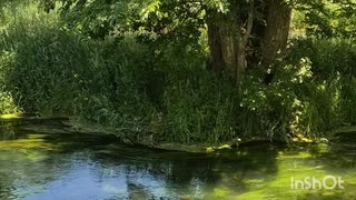長野県安曇野市の大王わさび農場の水車小屋の風景。