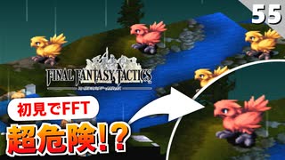 【FFタクティクス】チョコメテオやめてお…フィナス河の赤チョコボ【FFT 初見実況】#55