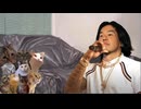 YJ-POP - Meme King(ネコミームDiss)