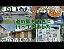 【栃木の道の駅全制覇】道の駅もてぎに行ってきました【VOICEROID車載】