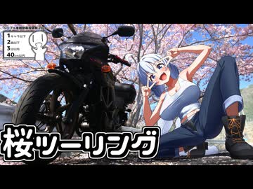 【ボイロ車載】あかりちゃんのおたのしみ【土師ダム桜ツーリング】