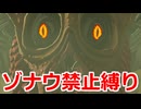 ゾナウ禁止縛りpart33【ティアキン/制限プレイ/ゼルダの伝説ティアーズオブザキングダム】