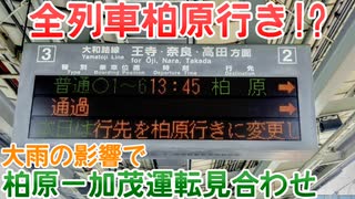 23年台風2号の影響で柏原ー加茂で運転見合わせ！大和路線の状況を見てきた！【台風】【運転見合わせ】【π】