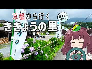 京都から行くちょい乗りドライブスポット #02「ききょうの里」