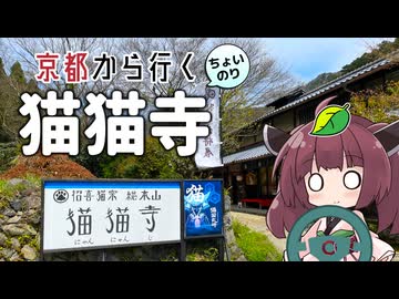 京都から行くちょい乗りドライブスポット #04「猫猫寺」