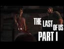 【THE LAST OF US part1】結局人間同士の争いのお話