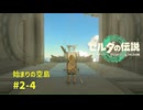 【ゼルダの伝説攻略】ゼルダの伝説ティアーズオブザ キングダム2周目　#2-4 始まりの空島