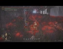 エルデンリング TMCターニッシュドメイクライ侵入Part 172
