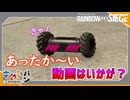 【R6S】チームプレイ(意味深)の上手な動画【きゃらバン】